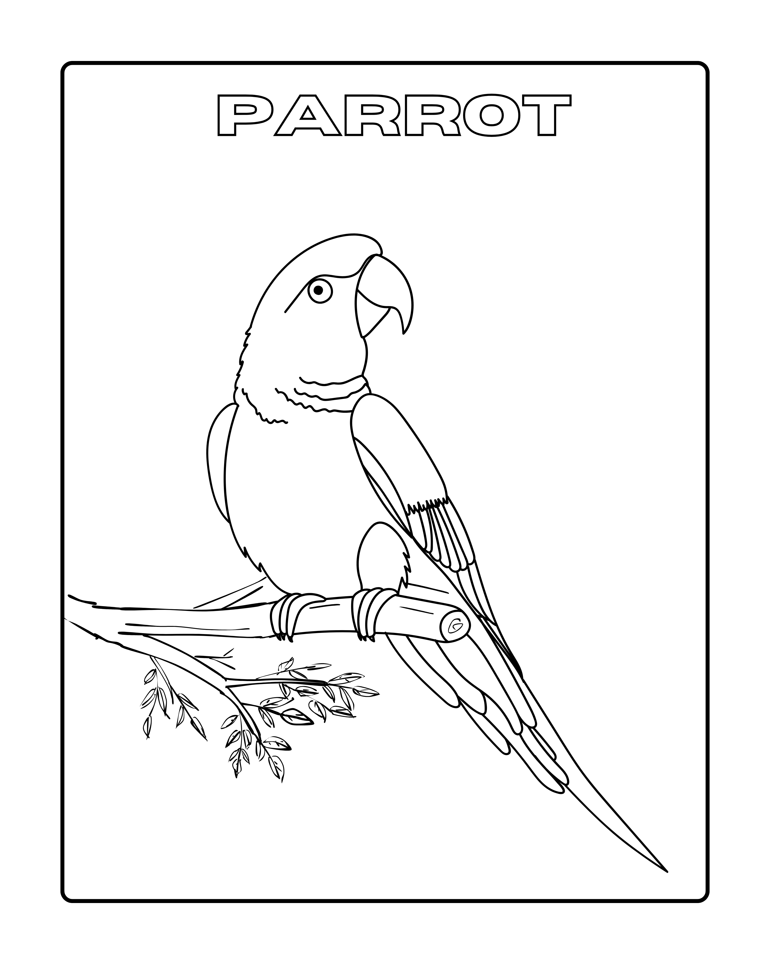 The Birds Coloring Book