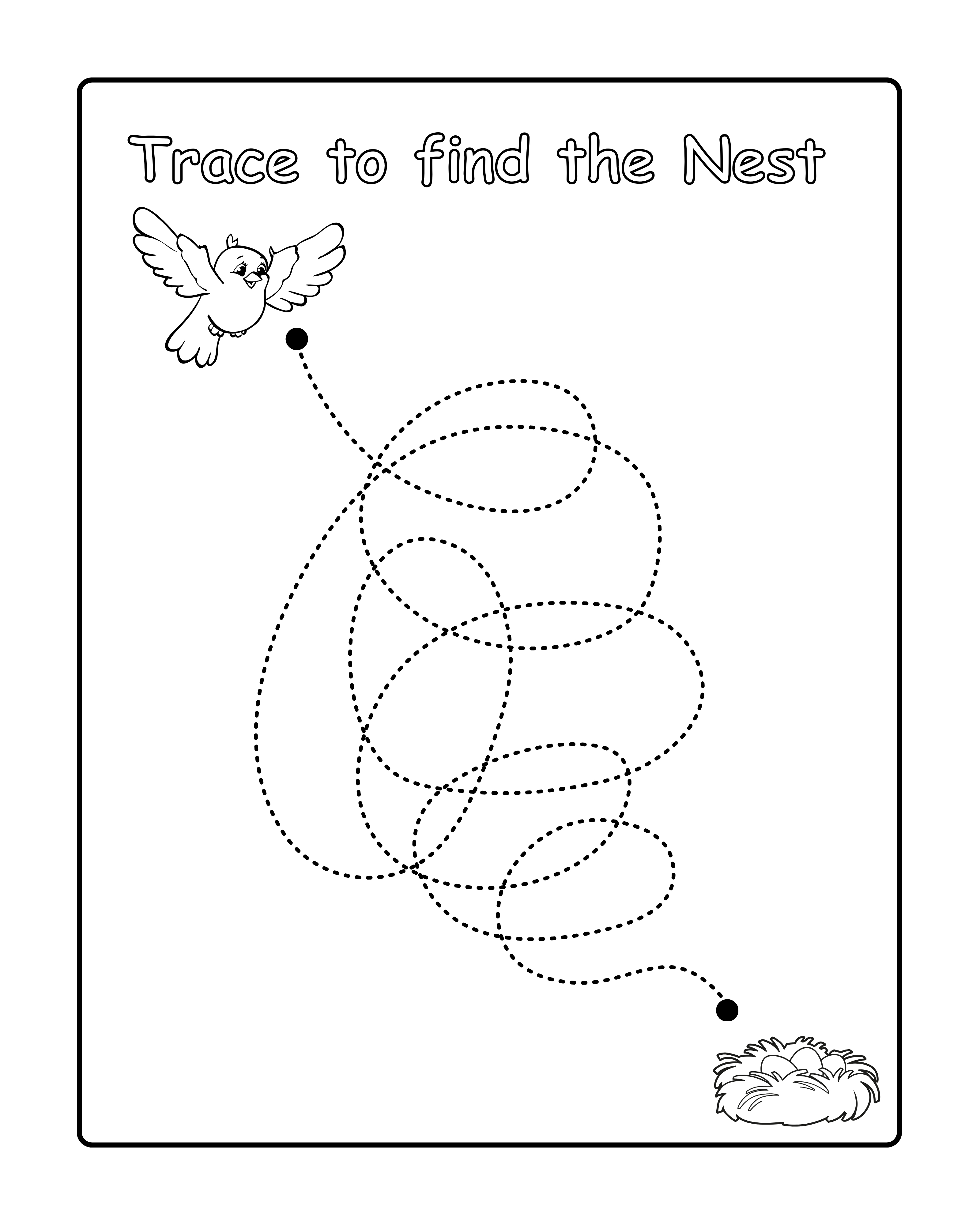 Birds Coloring and Activity Book 