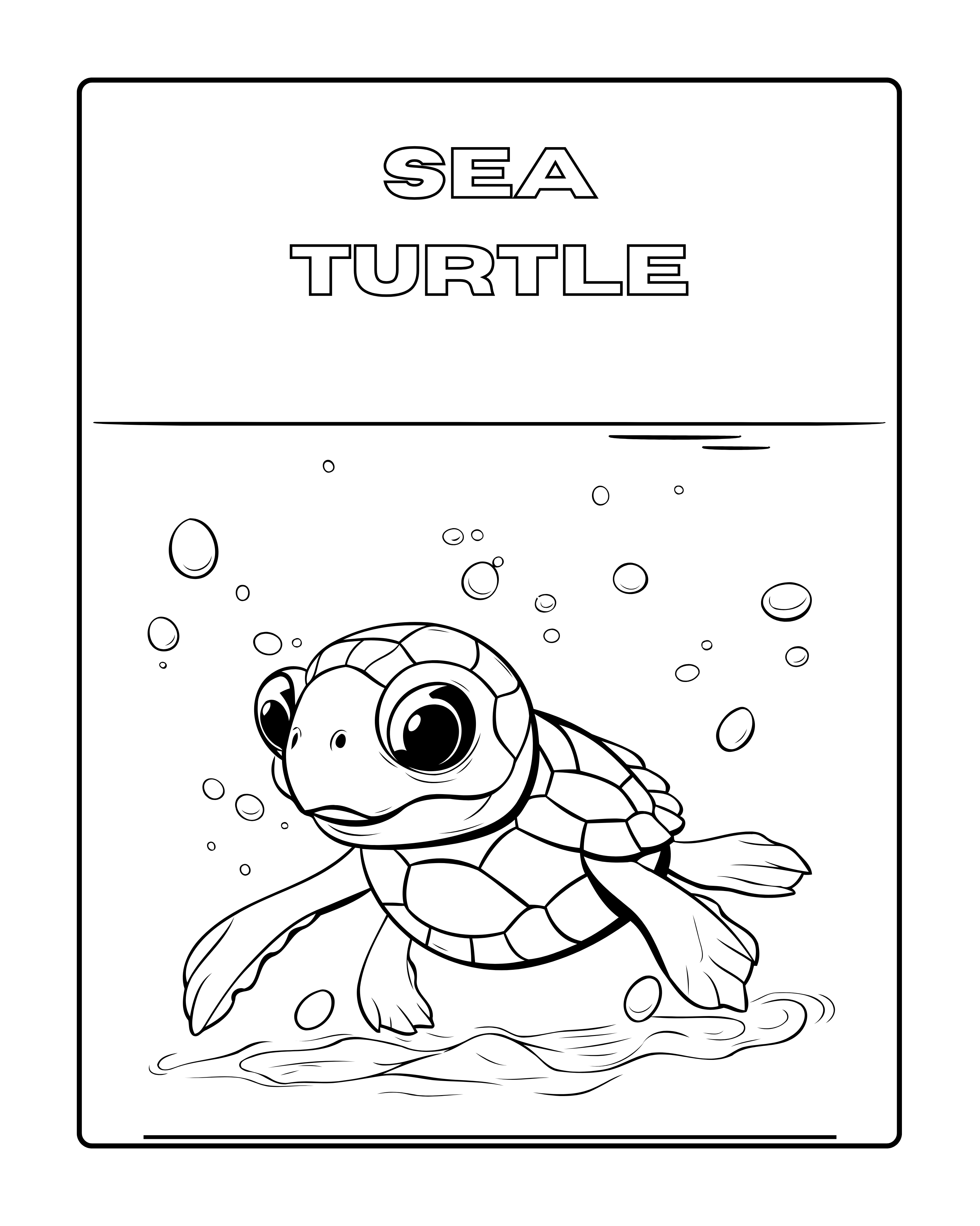 Marine Wonders! Sea Animals Coloring Book 
