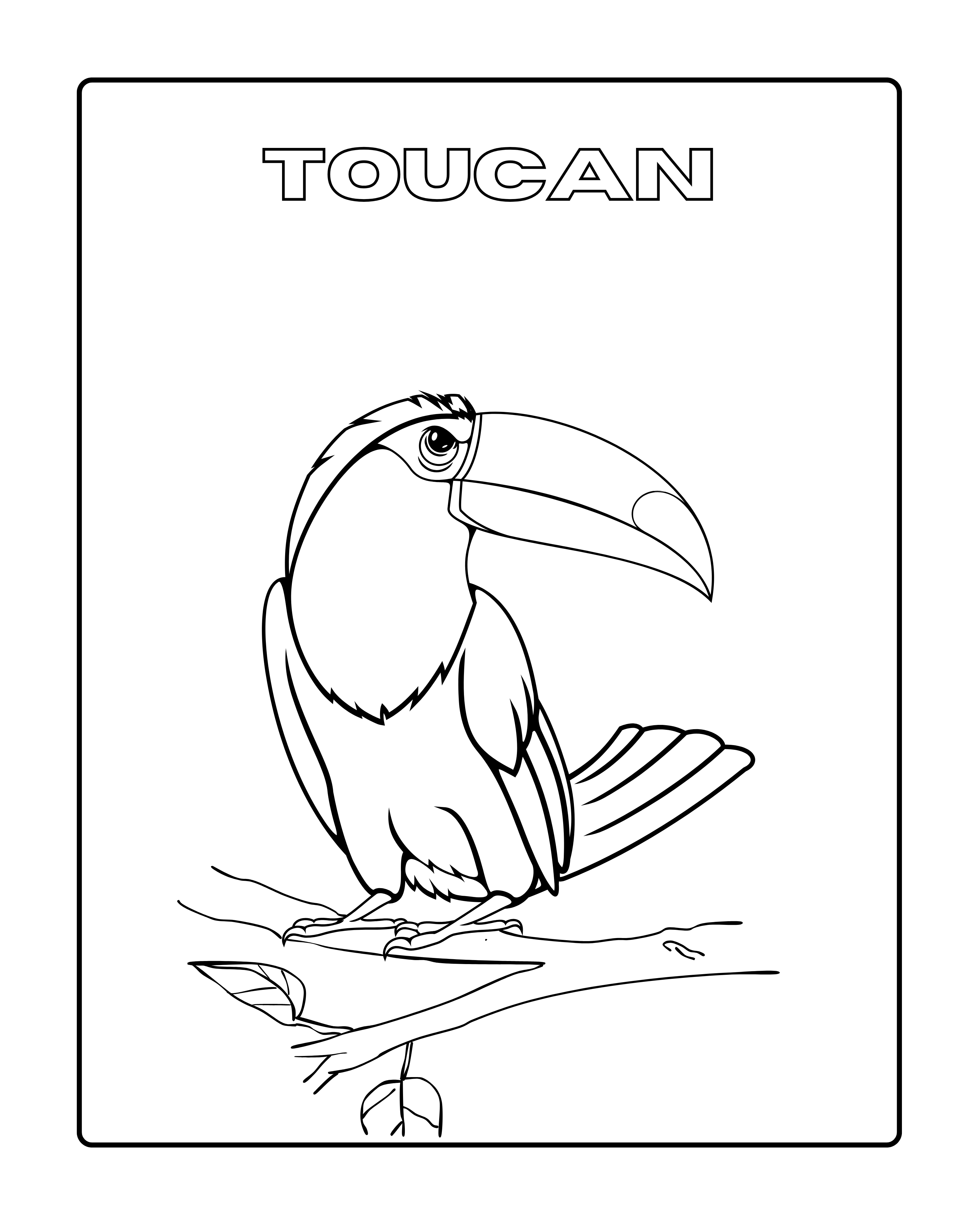The Birds Coloring Book
