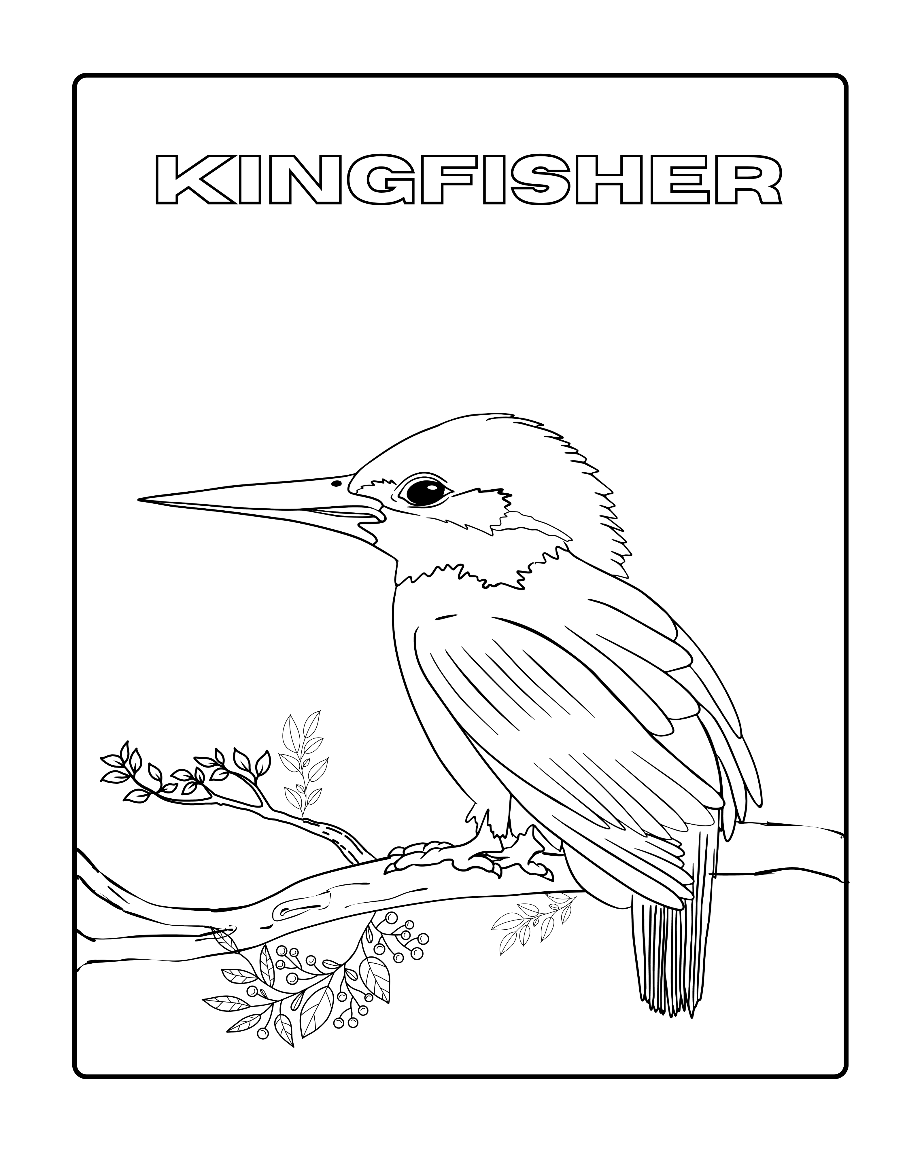 The Birds Coloring Book
