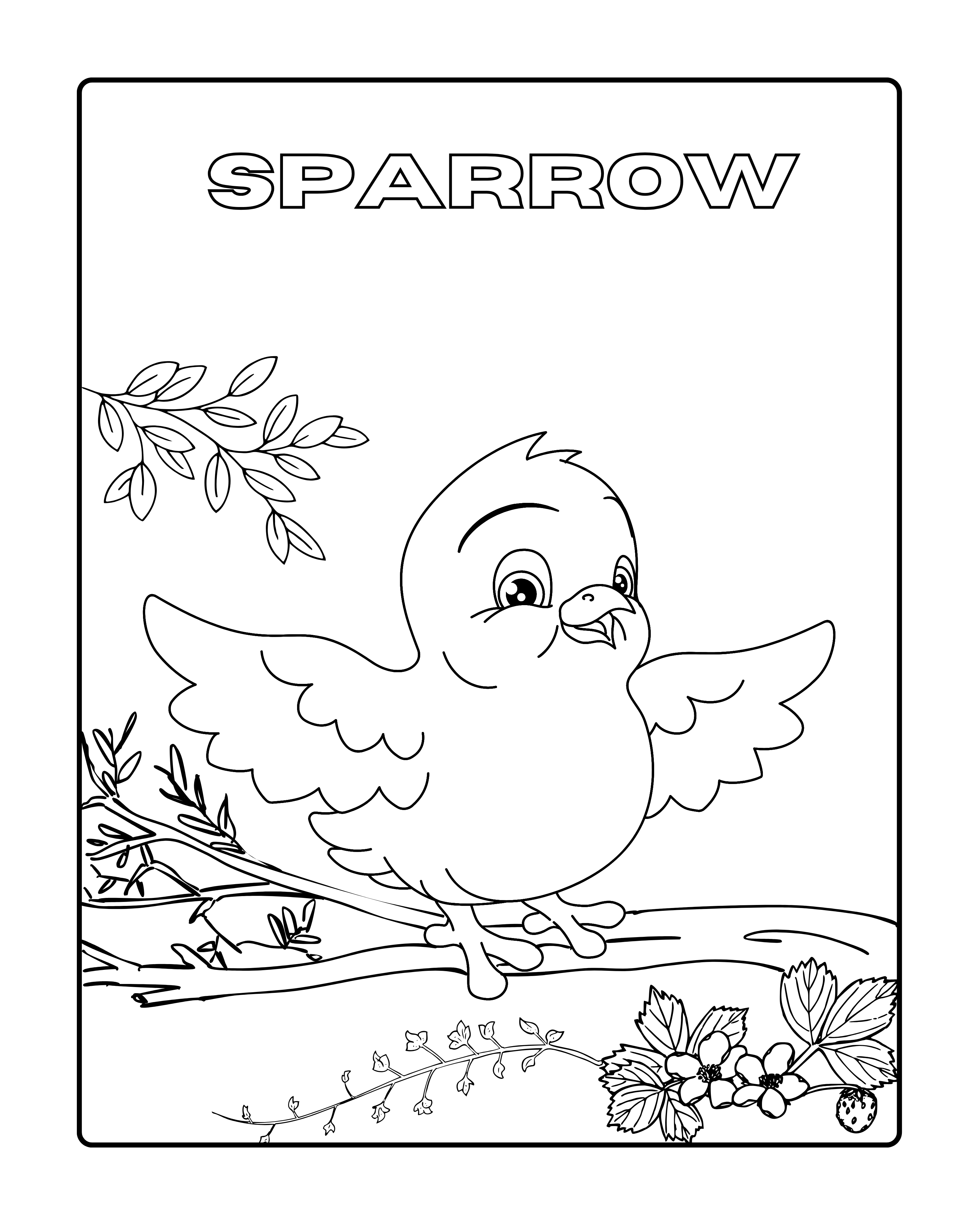 Birds Coloring and Activity Book 