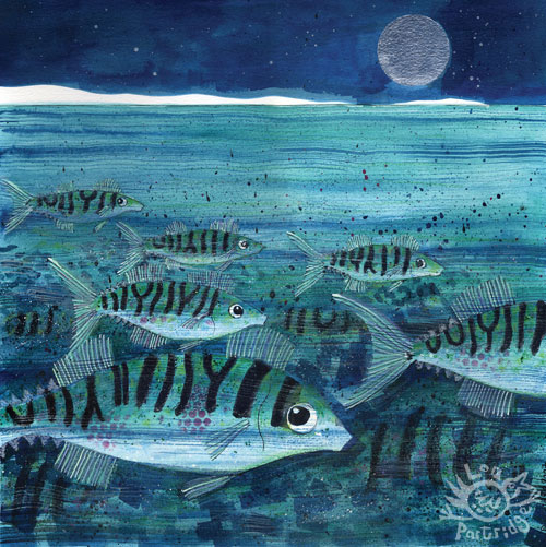 Mackerel Shoal One