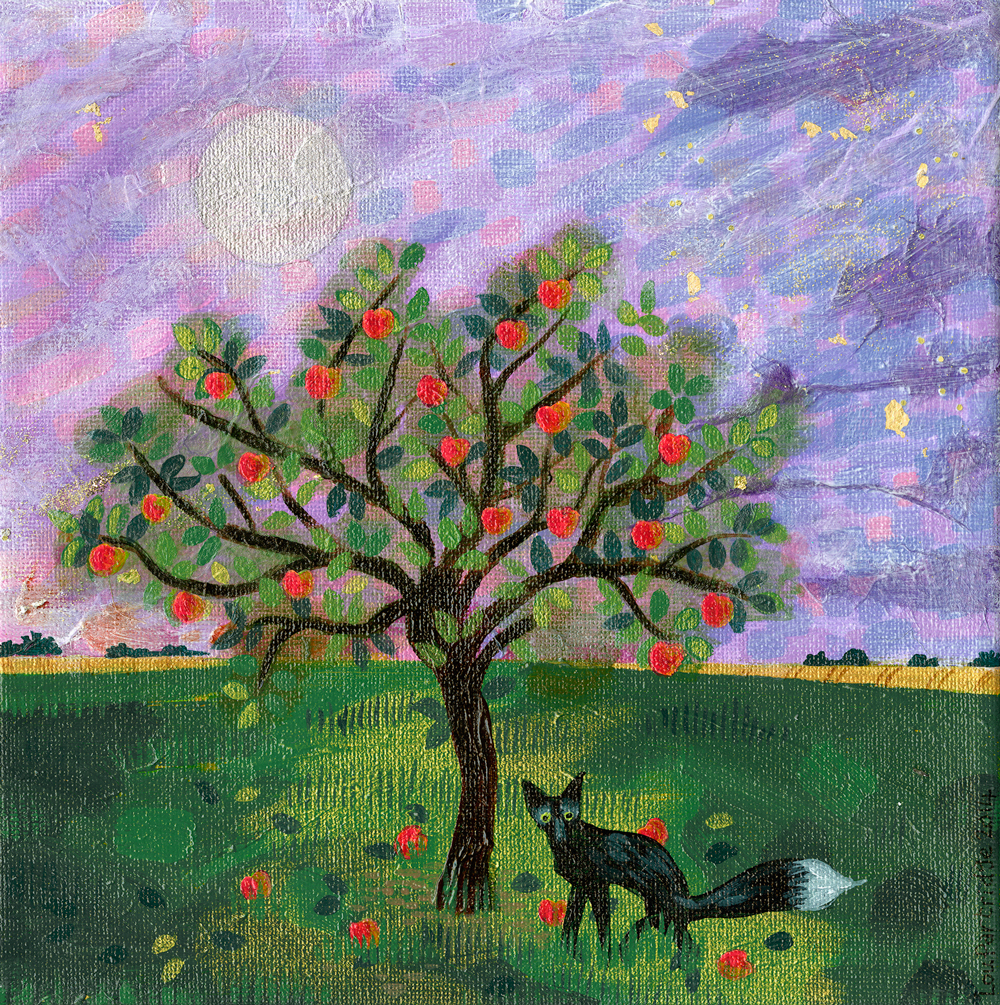 Black fox in the apple orchard