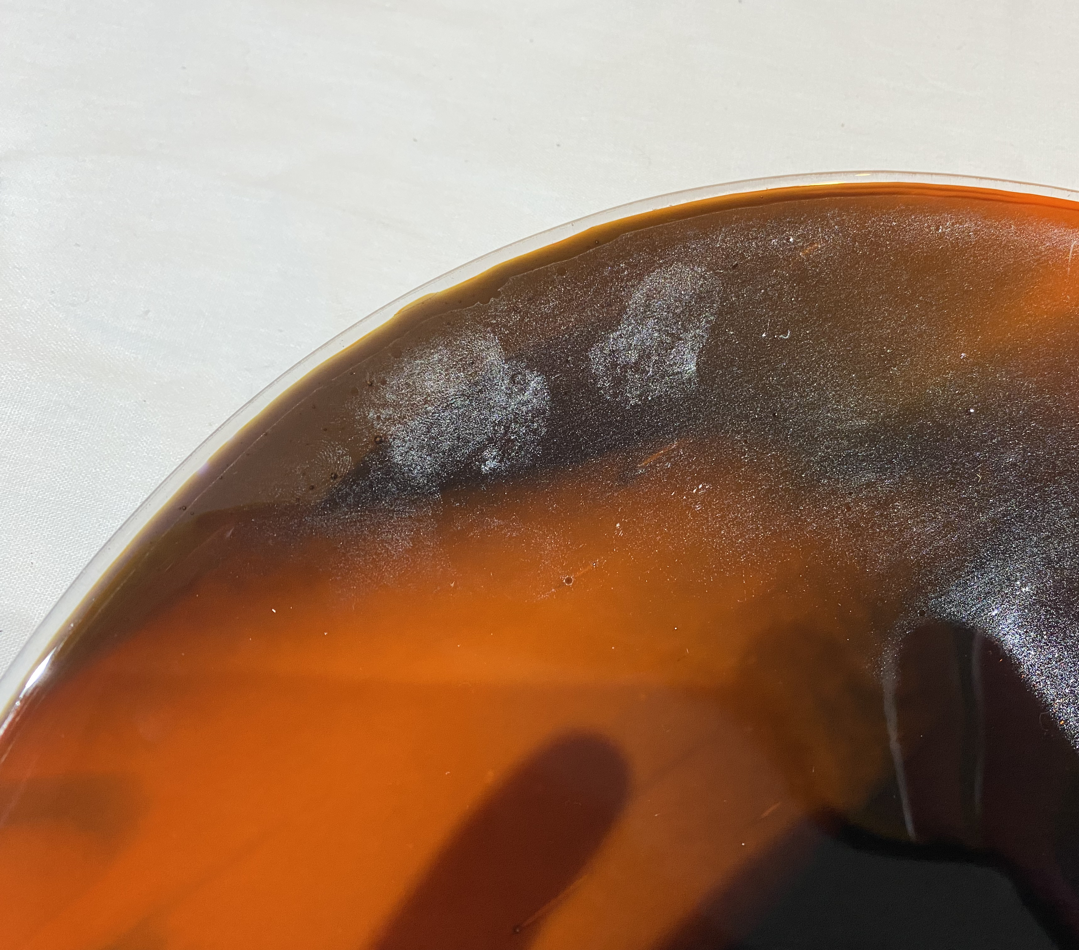 SALE Orange & Purple Glass Lampshade with Pendant Fitting