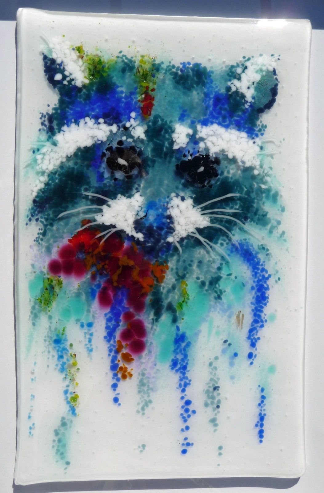 SALE Raccoon Art 