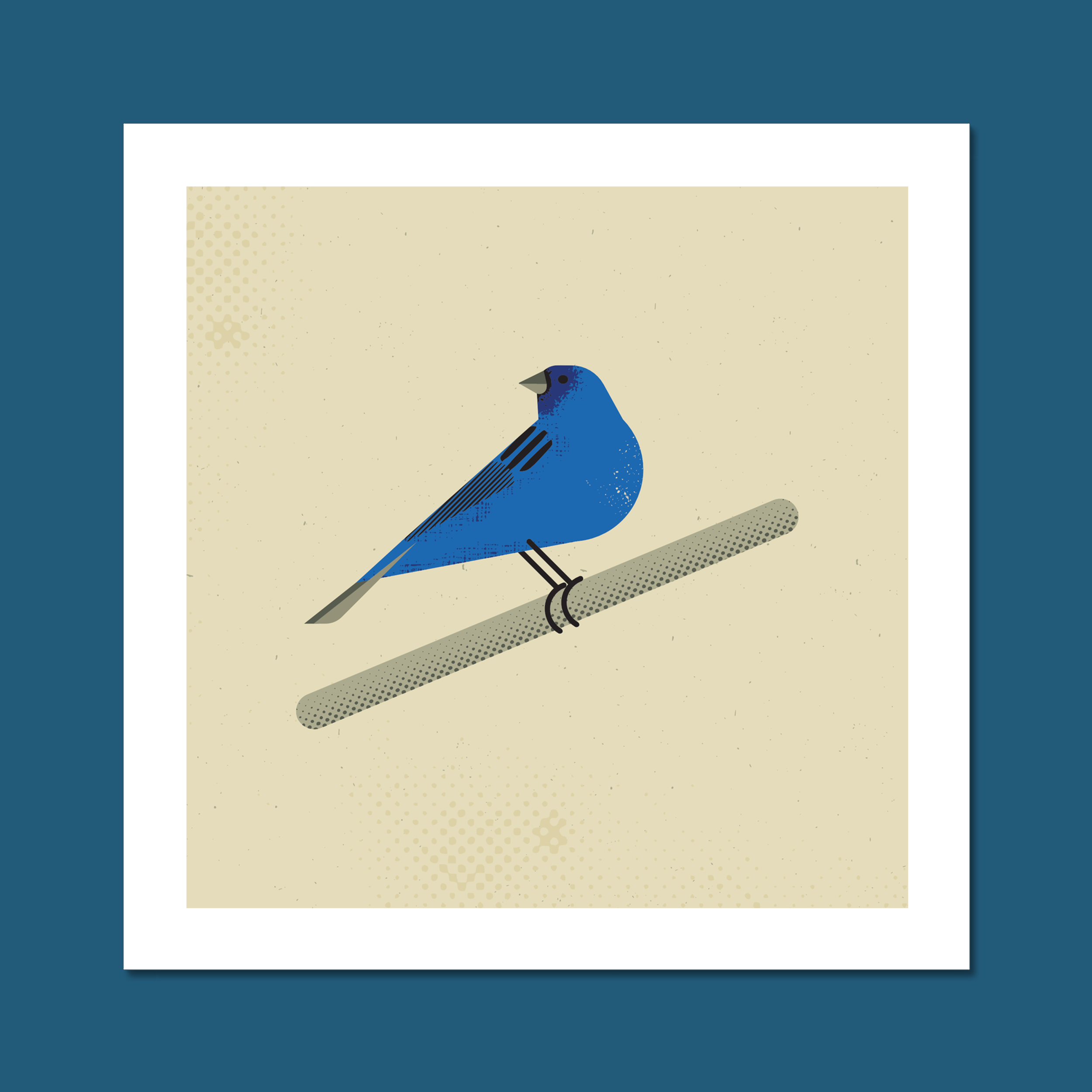 Indigo Bunting Art Print