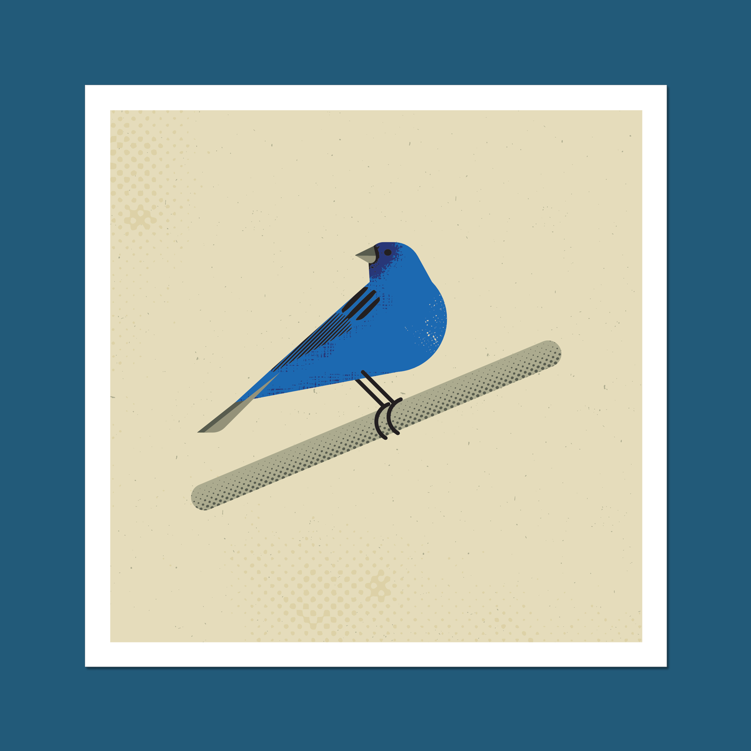 Indigo Bunting Art Print
