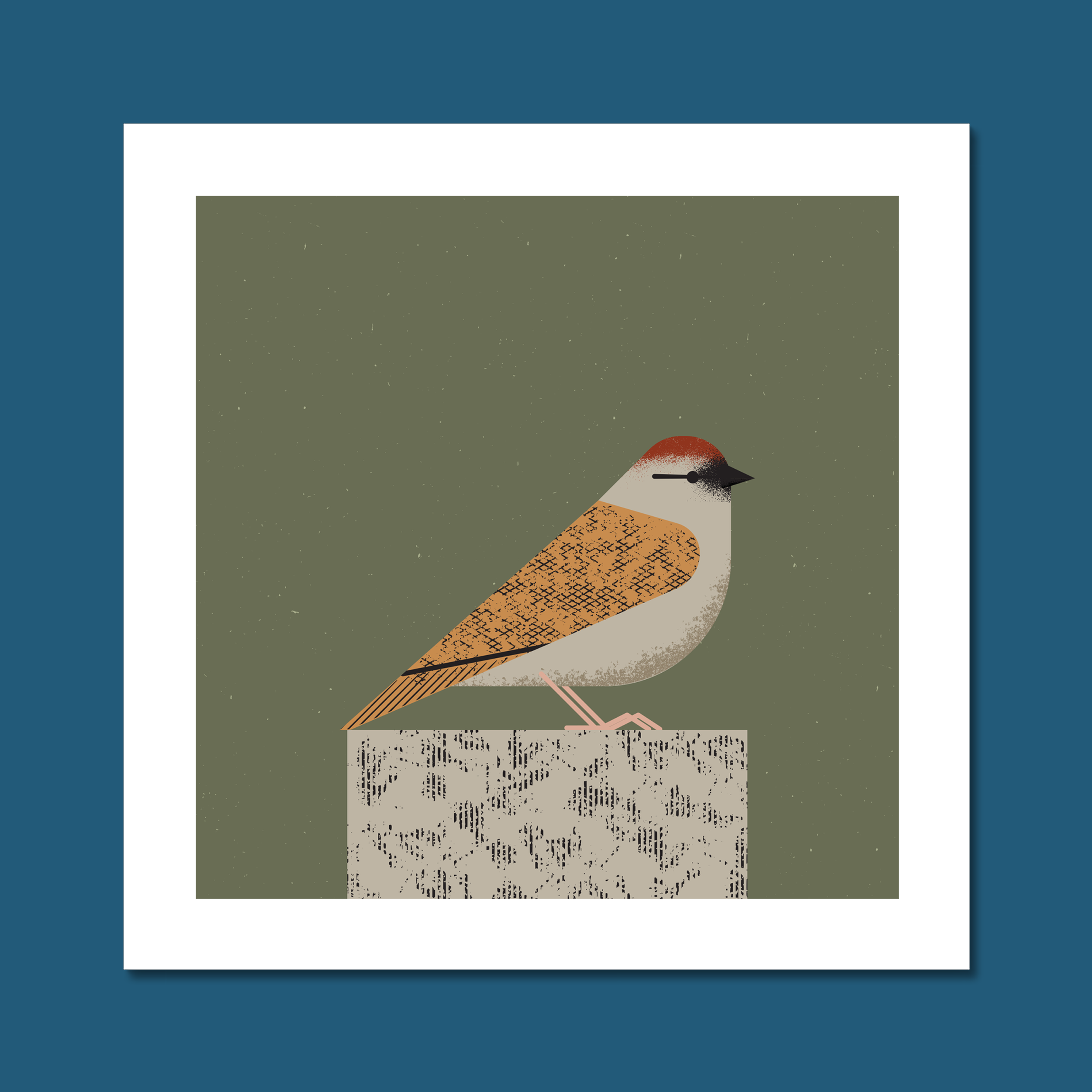 Sparrow Art Print