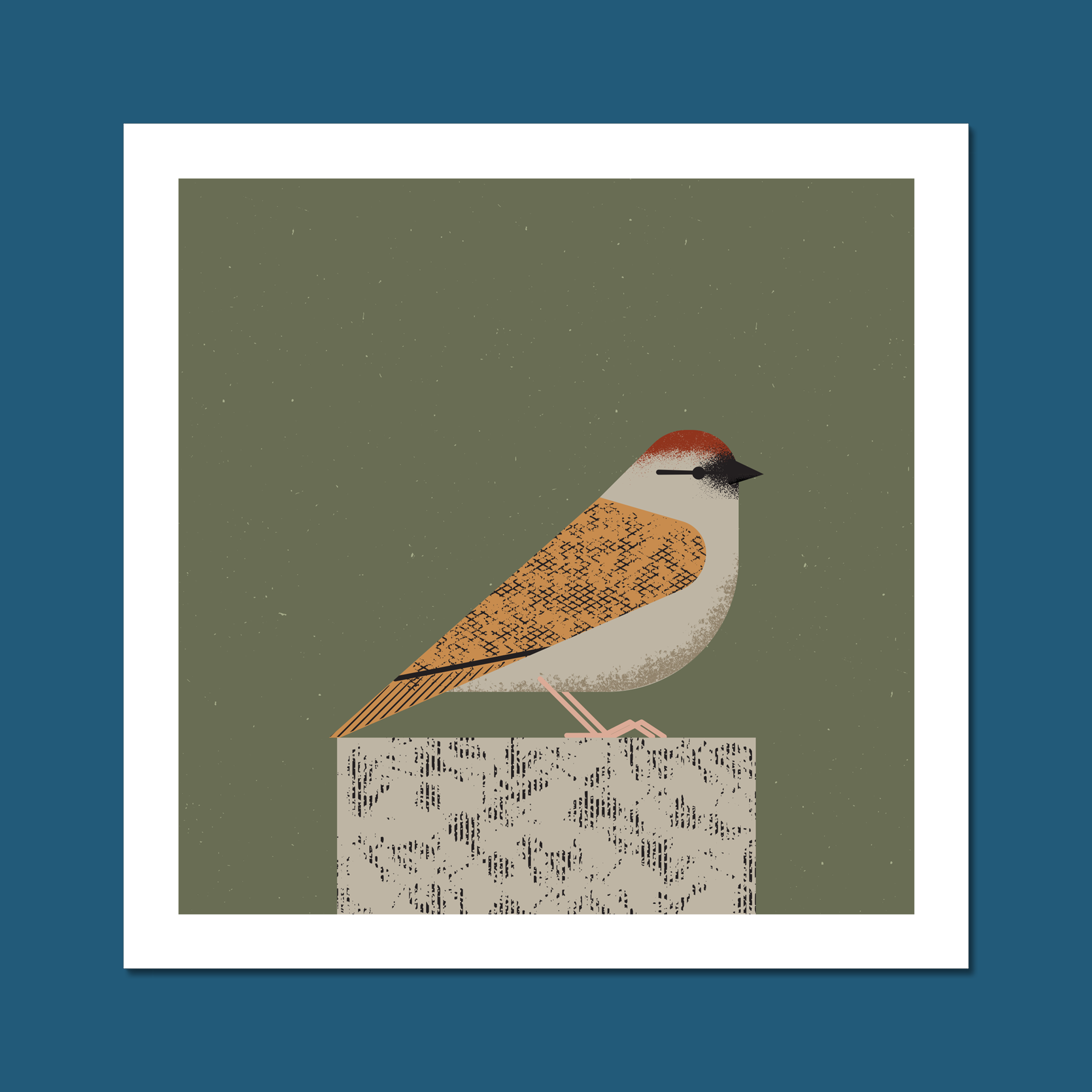 Sparrow Art Print