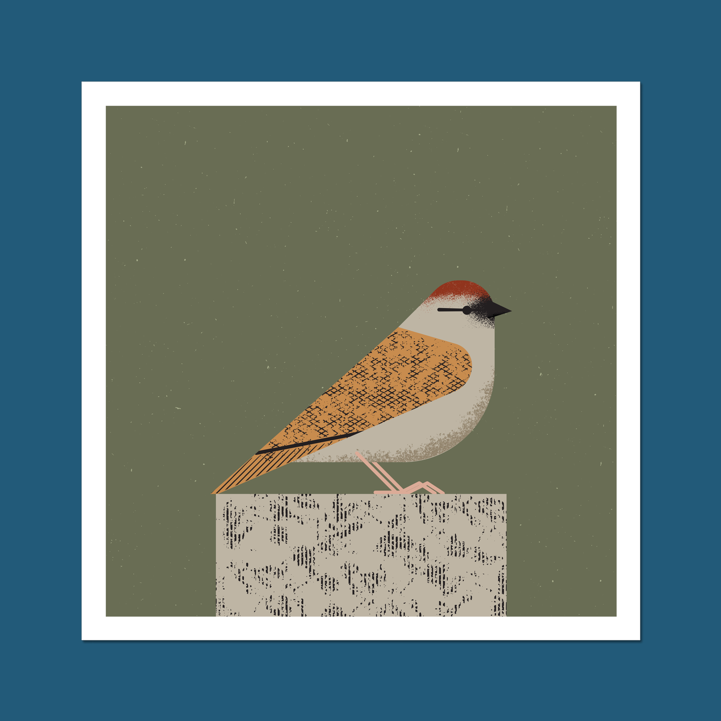 Sparrow Art Print