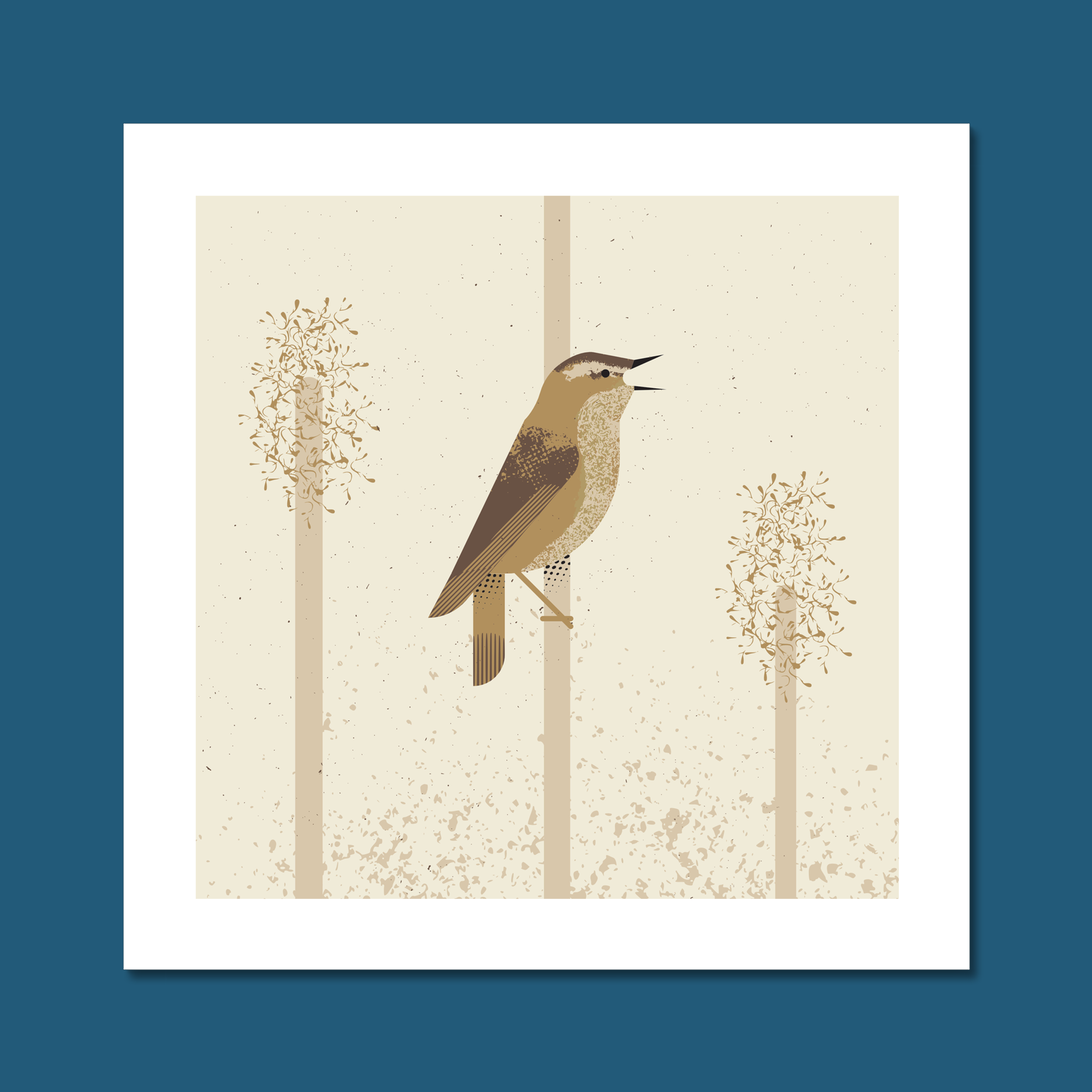 Sedge Warbler Art Print