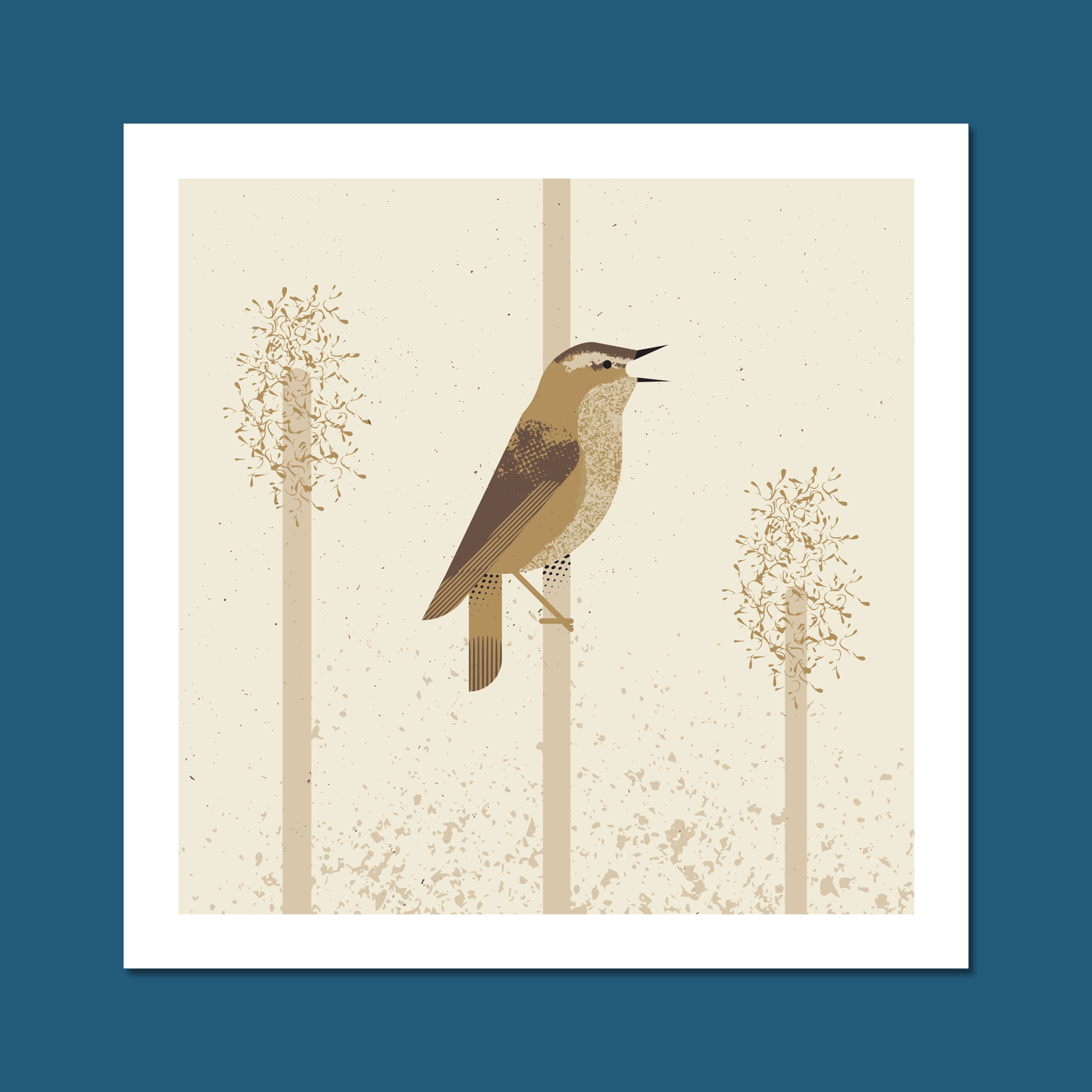 Sedge Warbler Art Print