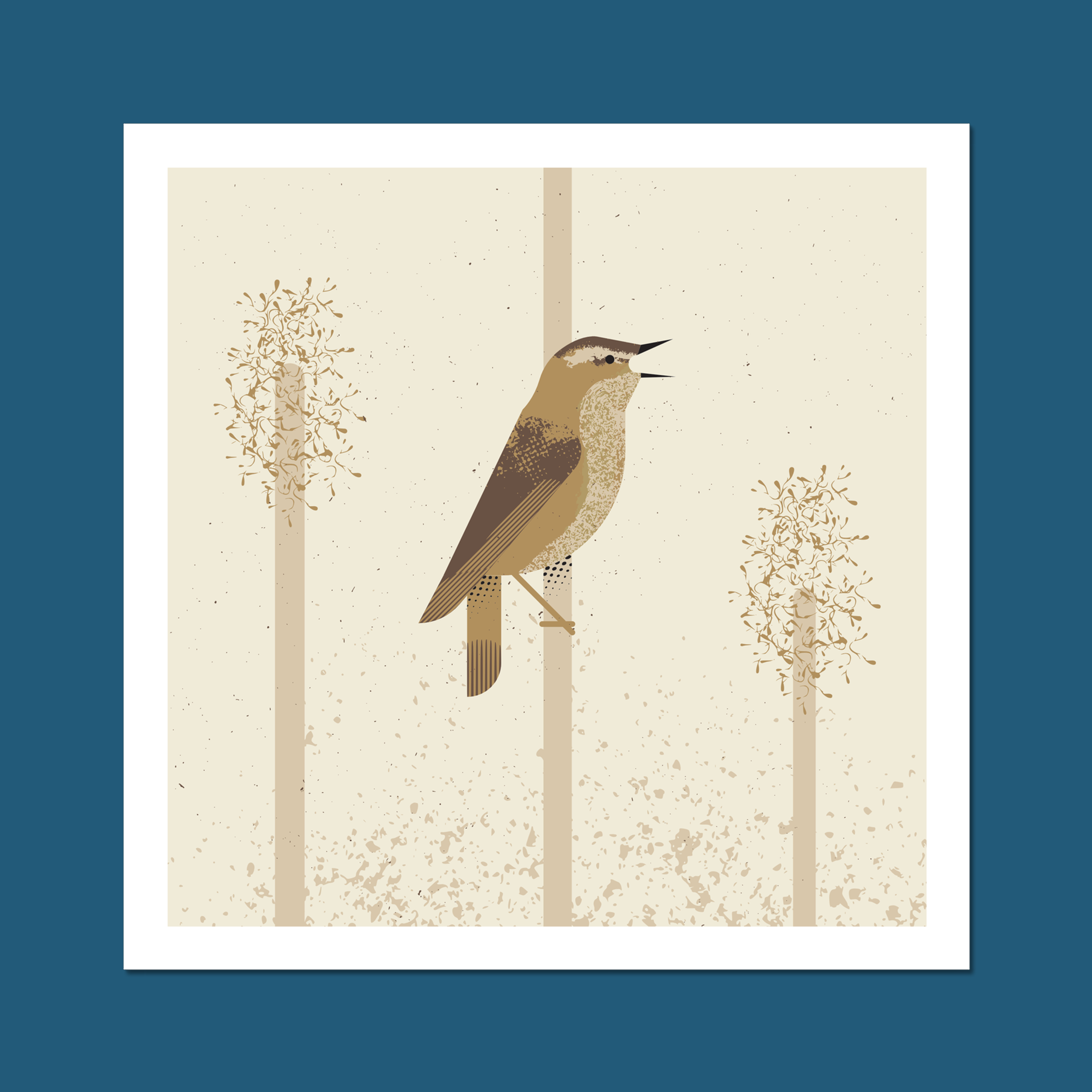 Sedge Warbler Art Print
