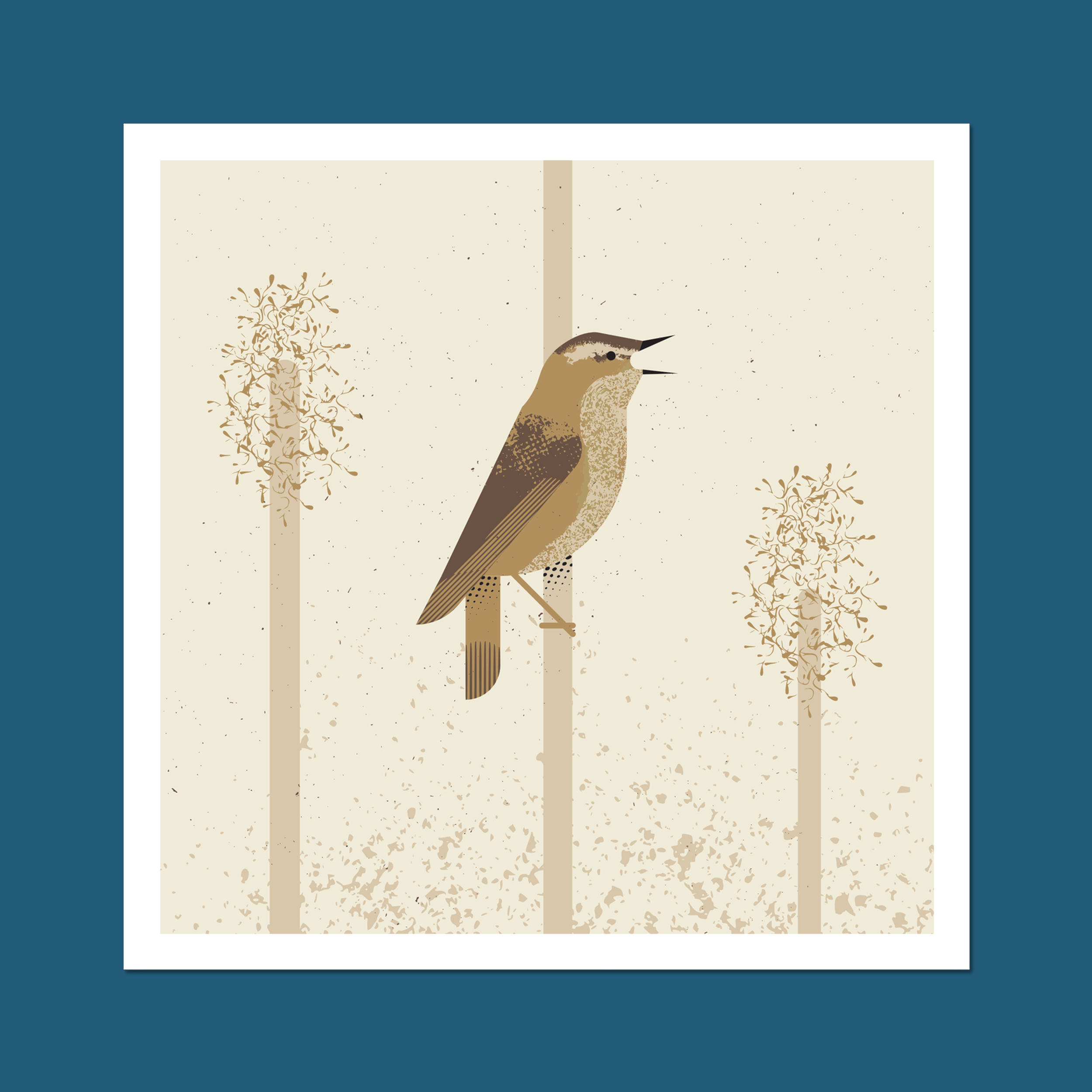 Sedge Warbler Art Print