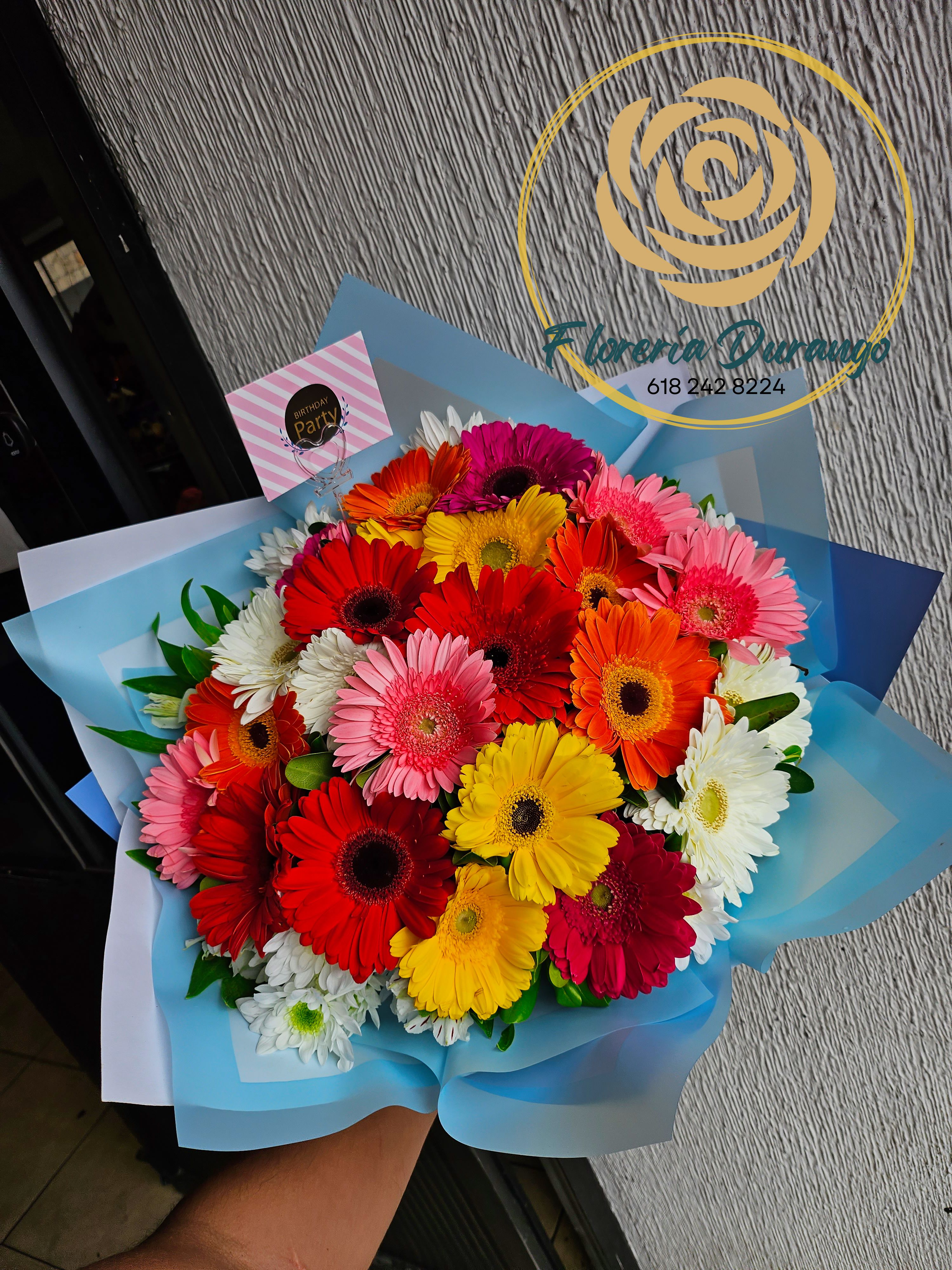 18 gerberas colors