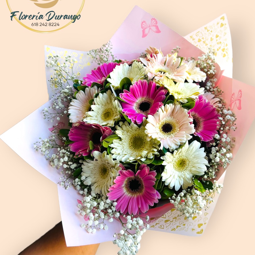 12 gerberas especial