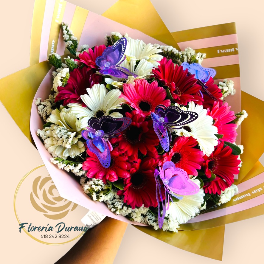 12 gerberas especial