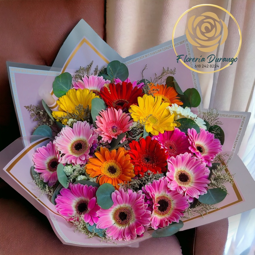 24 gerberas colors