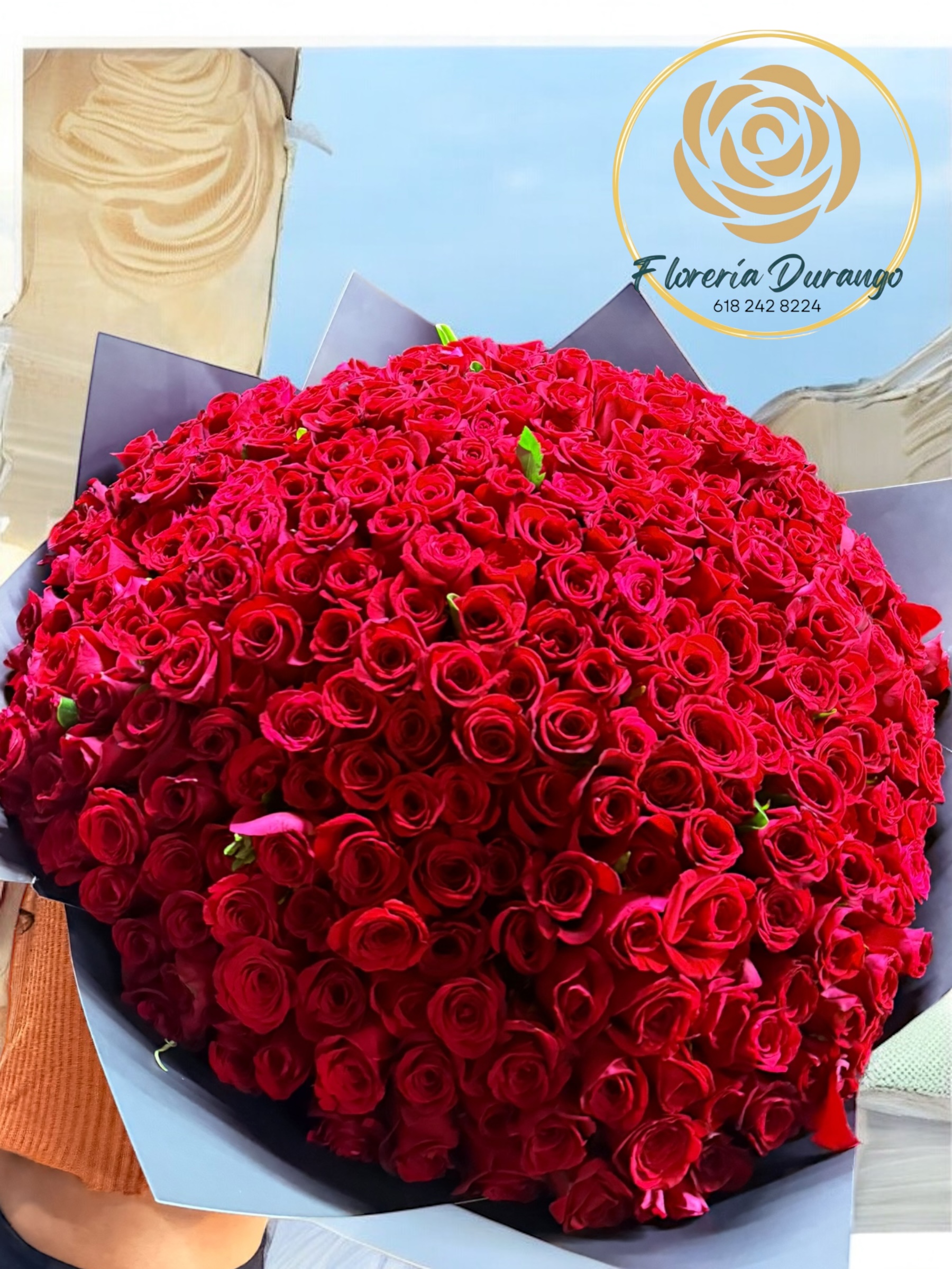 Ramo de 280 rosas rojas