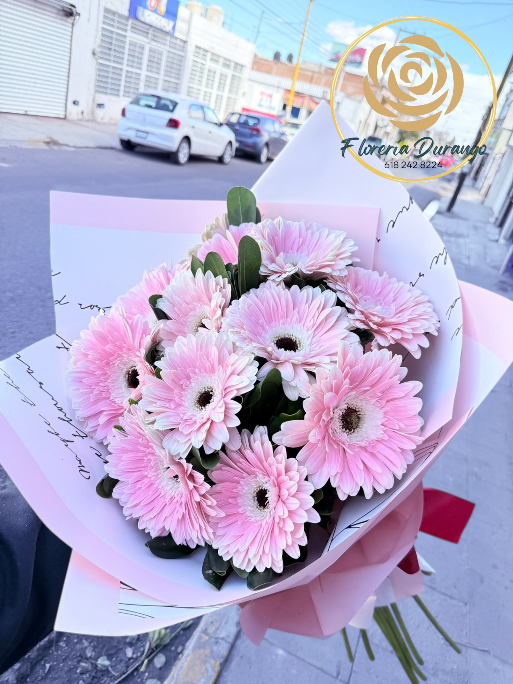12 gerberas especial