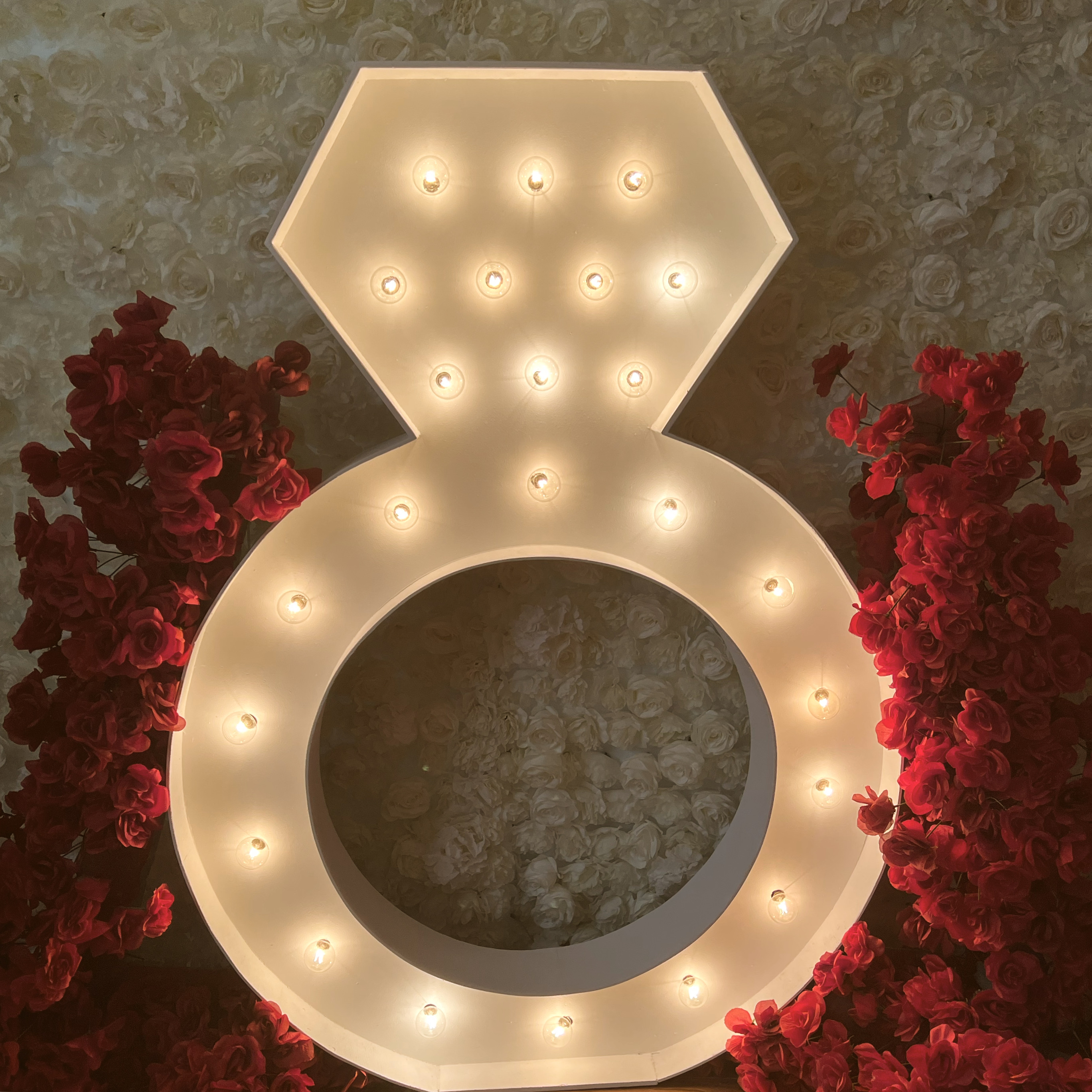 Ring Shaped Marquee Light up Symbol