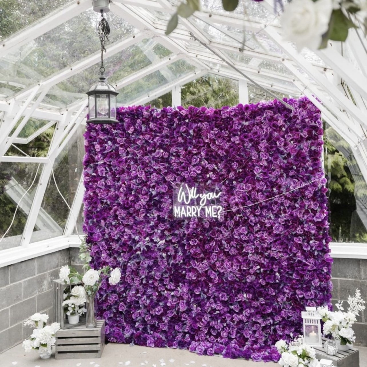 Flower Walls | Feather Walls | 7 Variants Available