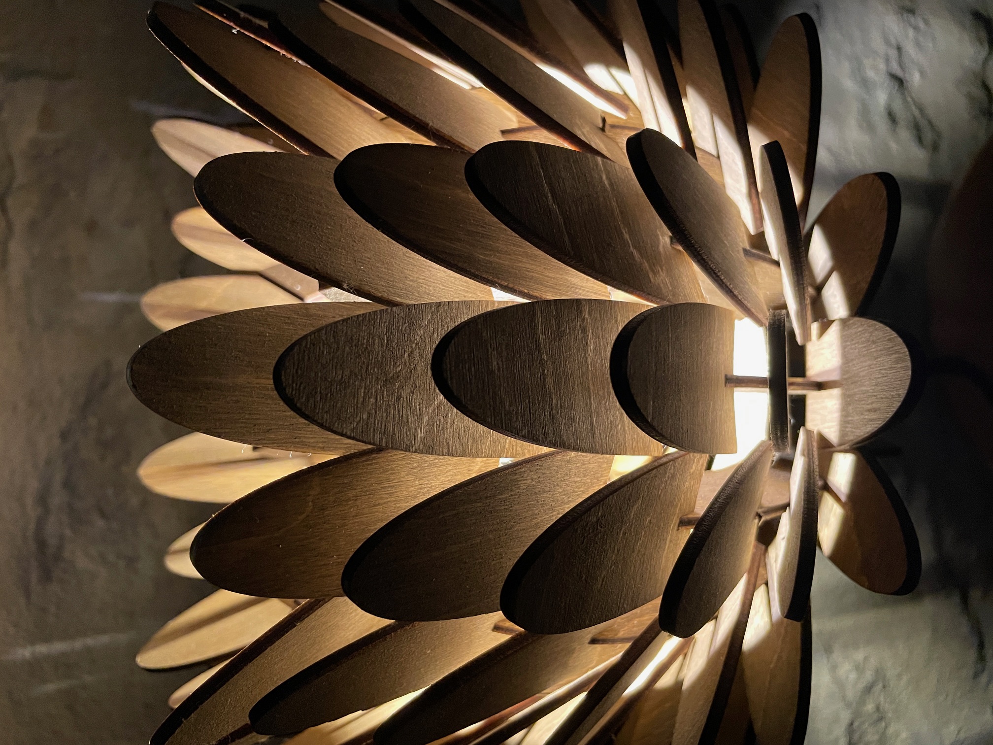 "Protea With A Twist"