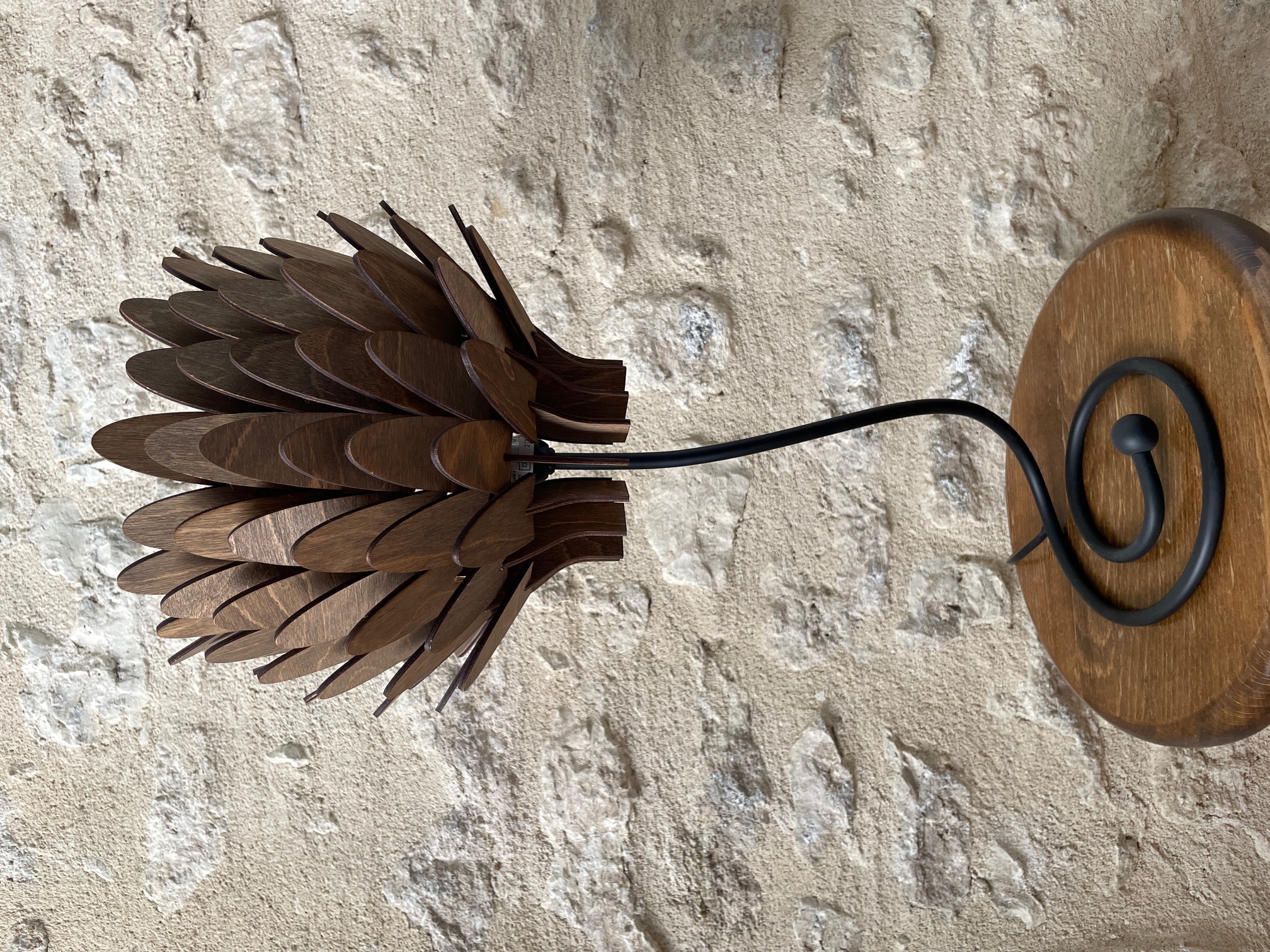 "Protea With A Twist"