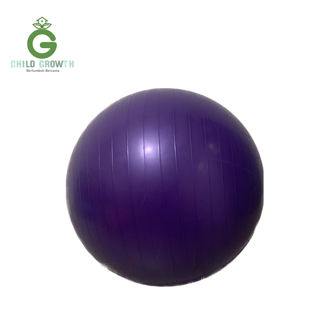 Bola Gym
