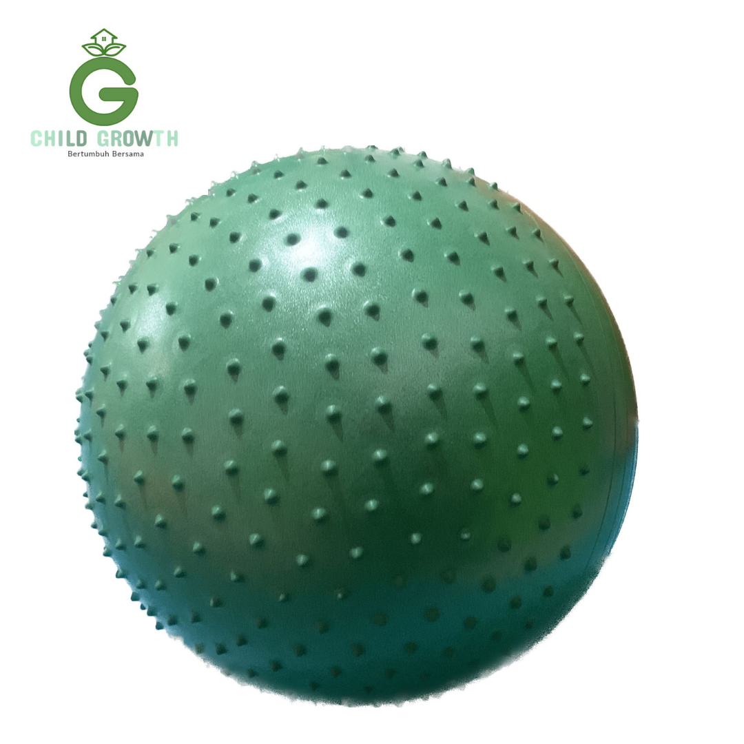 Bola Gym Tactile