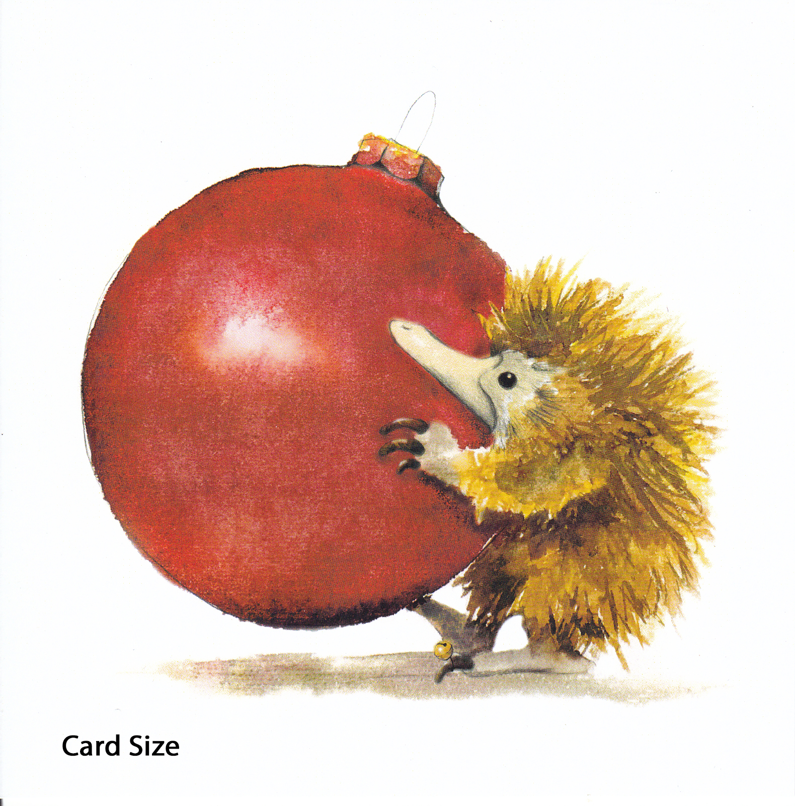Australian Animal Christmas Card Series