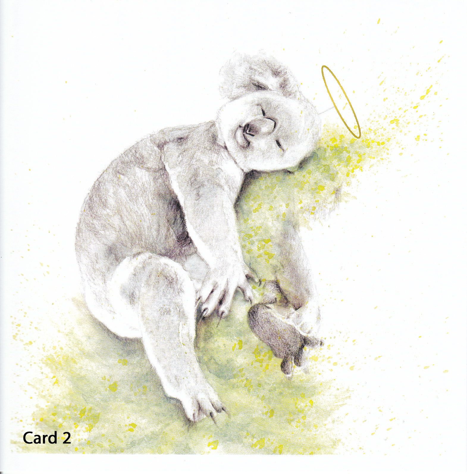 Australian Animal Christmas Card Series
