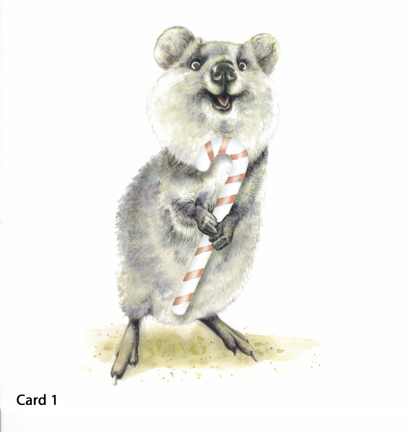 Australian Animal Christmas Cards 