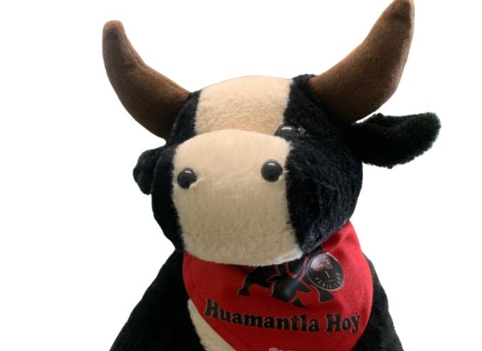 Toro Negro con Blanco Huamantla Hoy