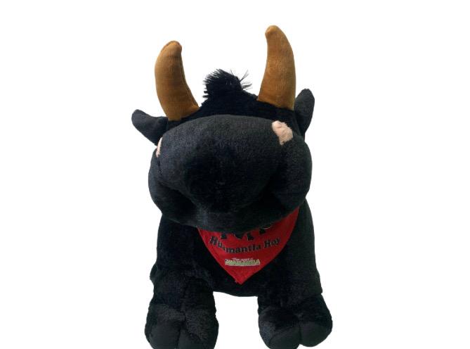 Toro Negro Huamantla Hoy