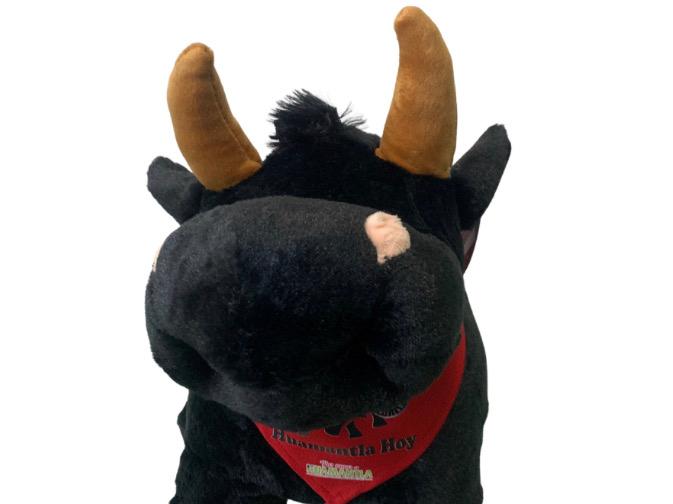 Toro Negro Huamantla Hoy