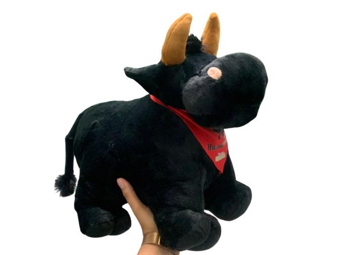 Toro Negro Huamantla Hoy