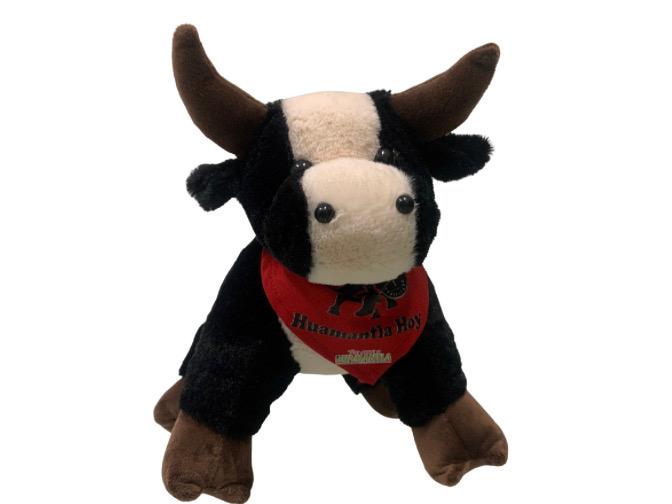 Toro Negro con Blanco Huamantla Hoy