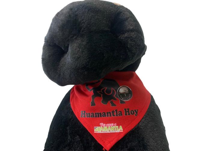 Toro Negro Huamantla Hoy