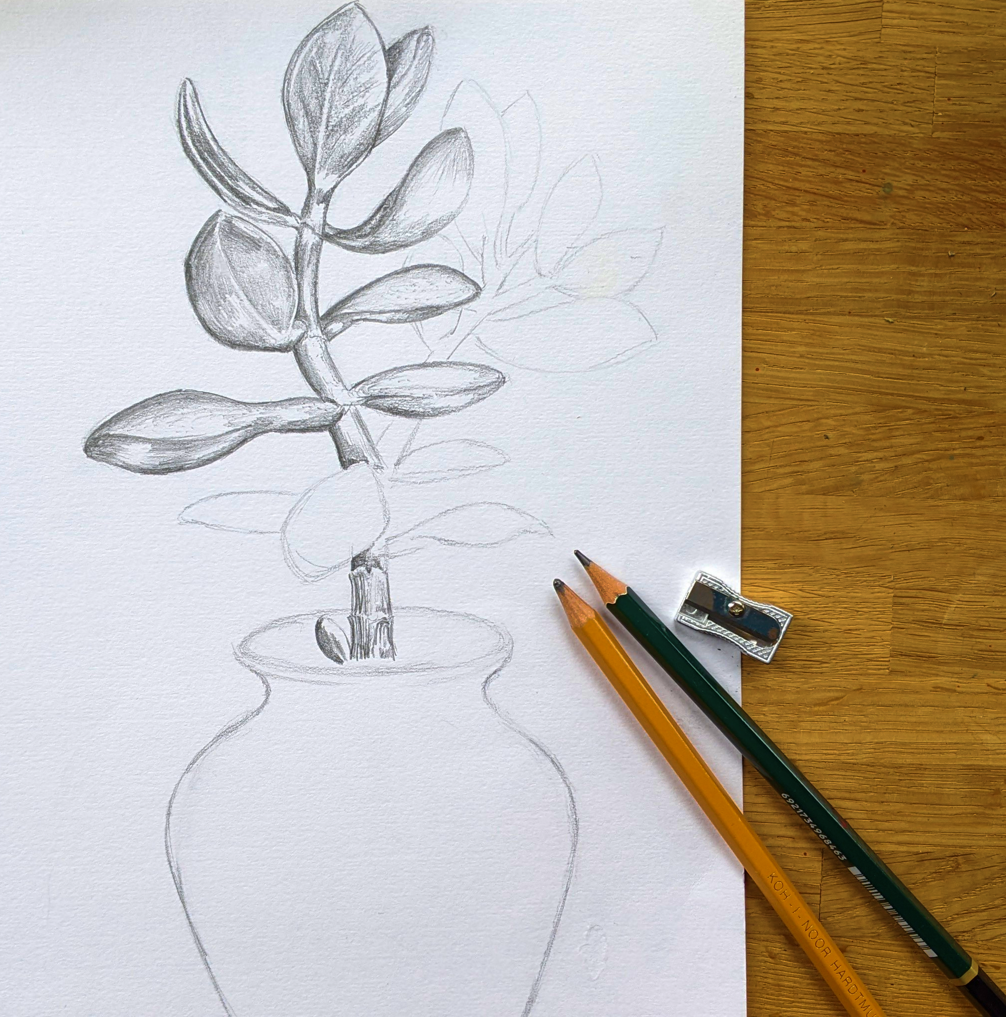 Learn to draw and paint - Taster upgrade 