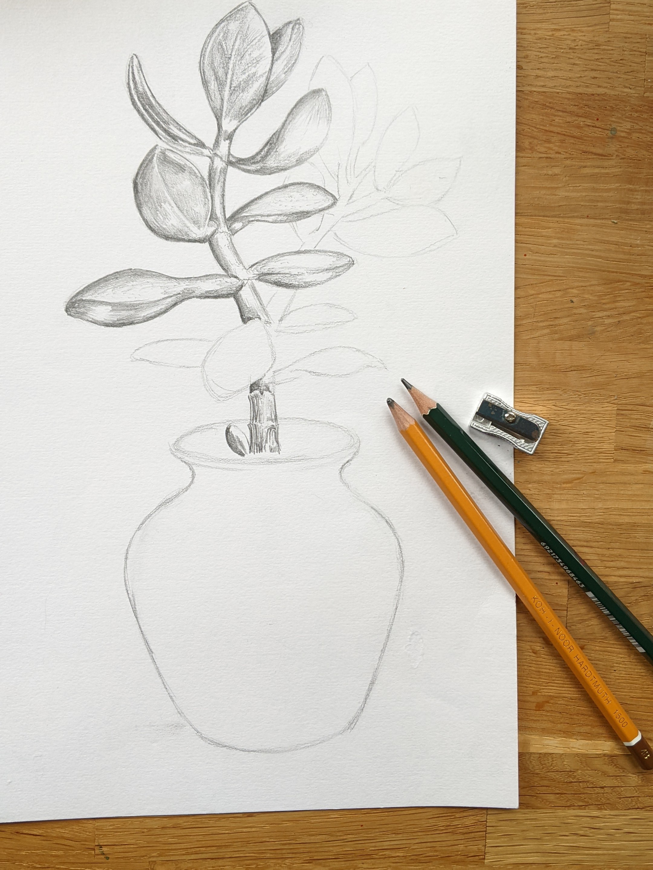 Learn to draw & paint