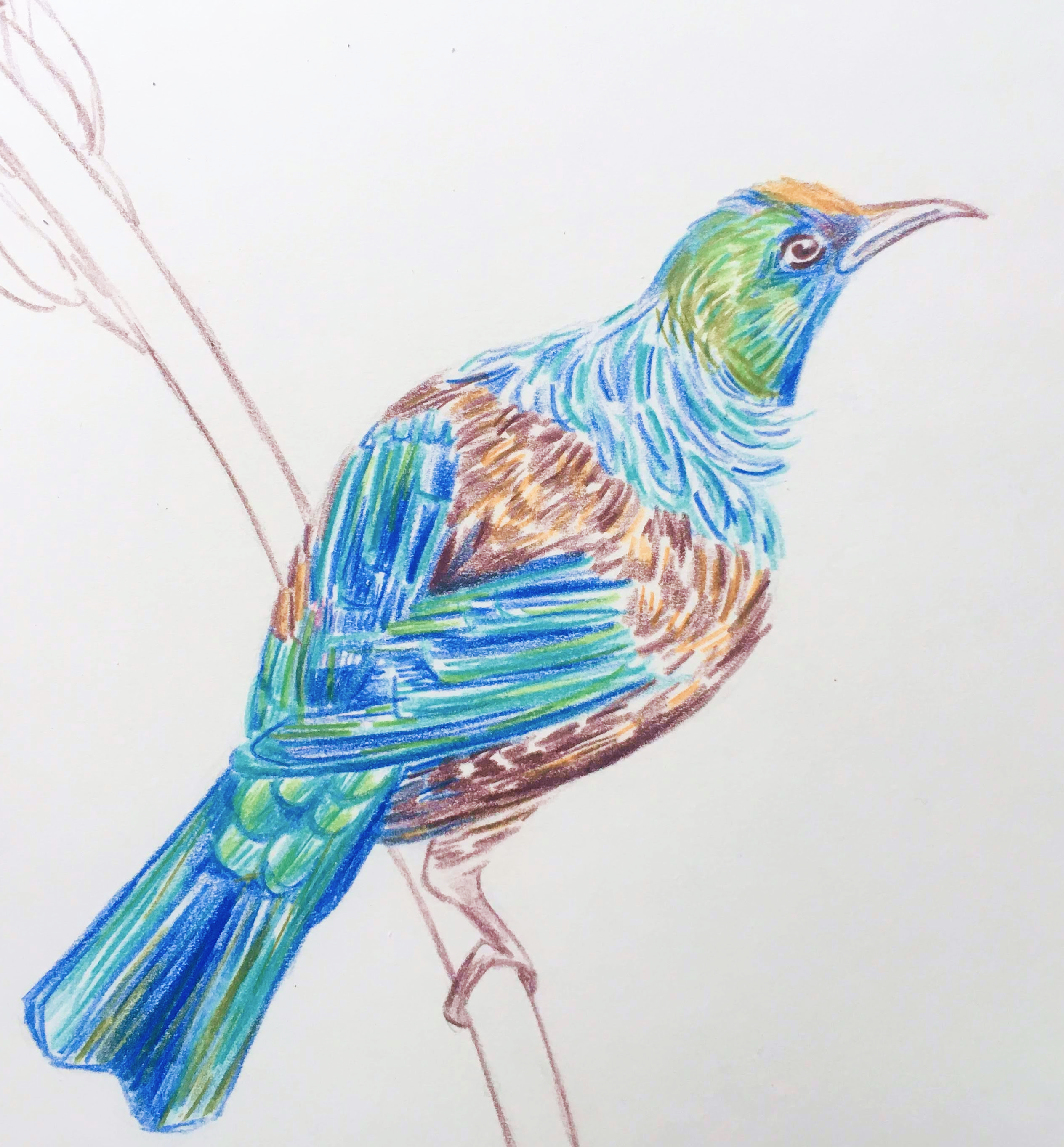 Learn to draw and paint - Taster upgrade 