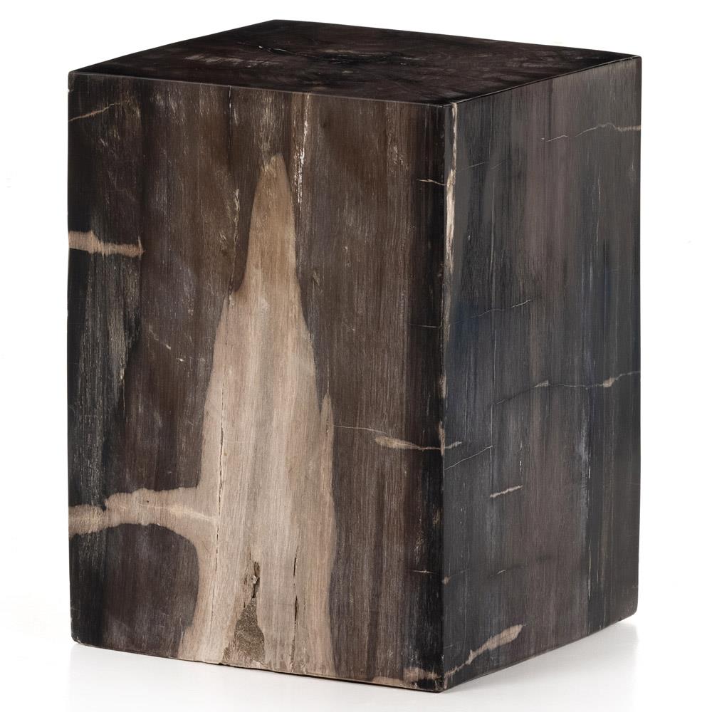 Black Petrified Wood Rectangular End Table