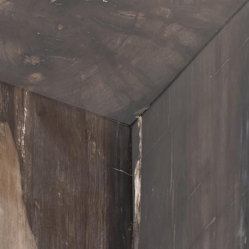 Black Petrified Wood Rectangular End Table