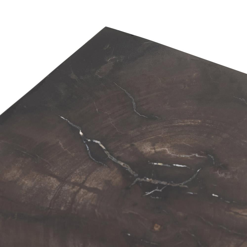 Black Petrified Wood Rectangular End Table