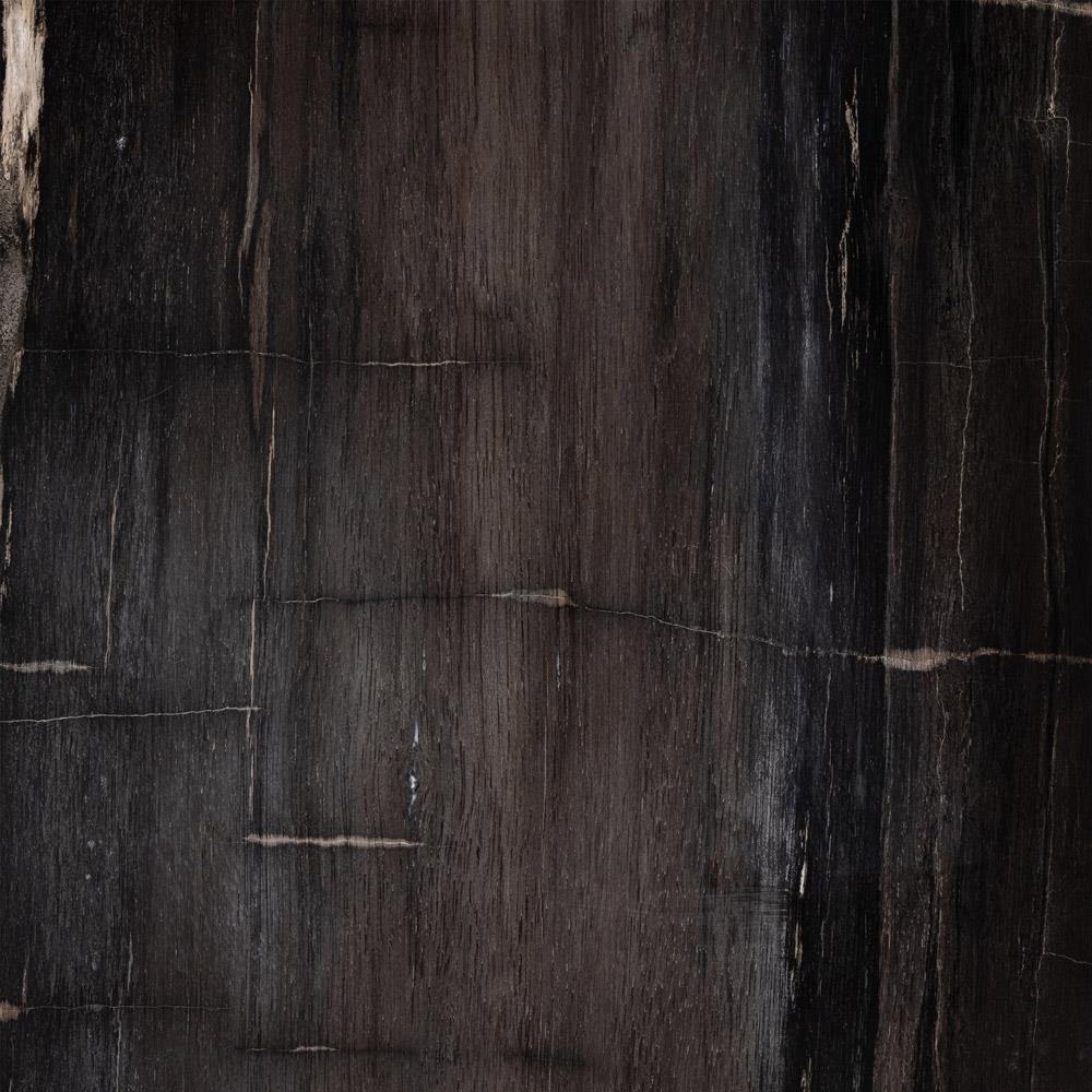 Black Petrified Wood Rectangular End Table