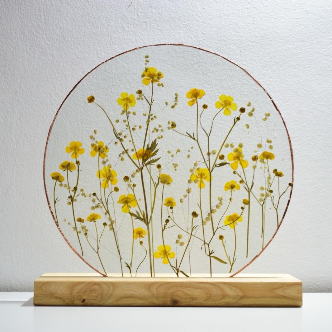 PICIORUL COCOȘULUI ROTUND