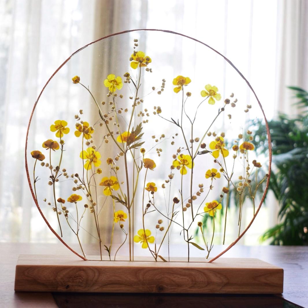 PICIORUL COCOȘULUI ROTUND