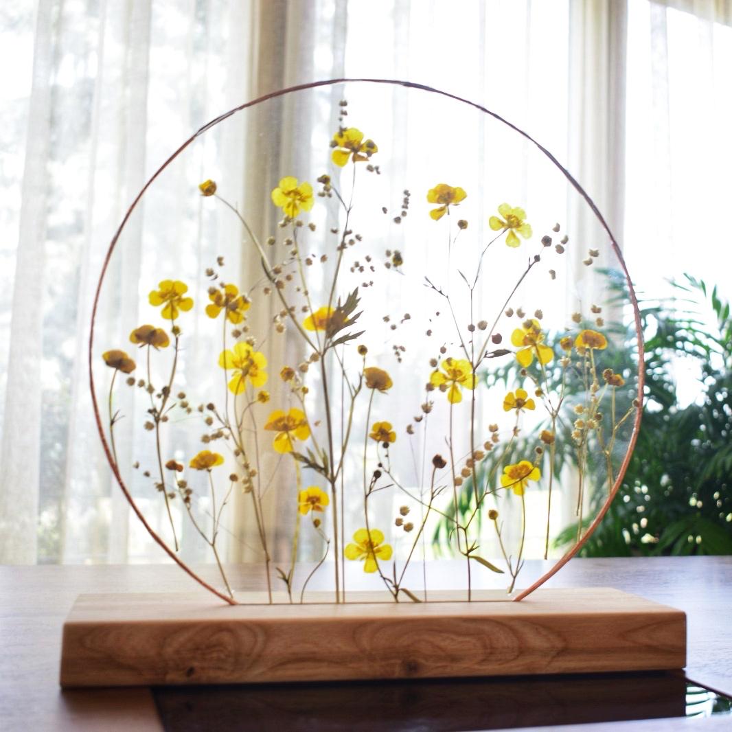 PICIORUL COCOȘULUI ROTUND